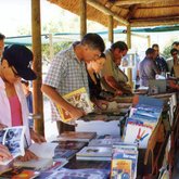 Find unimagined treasures at the Red Cross book stall